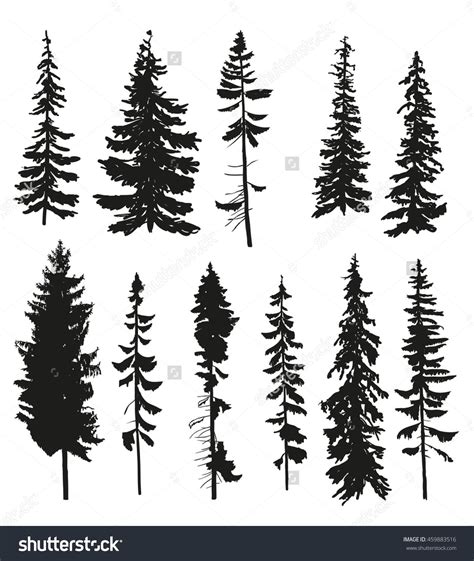 Vector Silhouettes Different Pine Trees Stock Vector Royalty Free