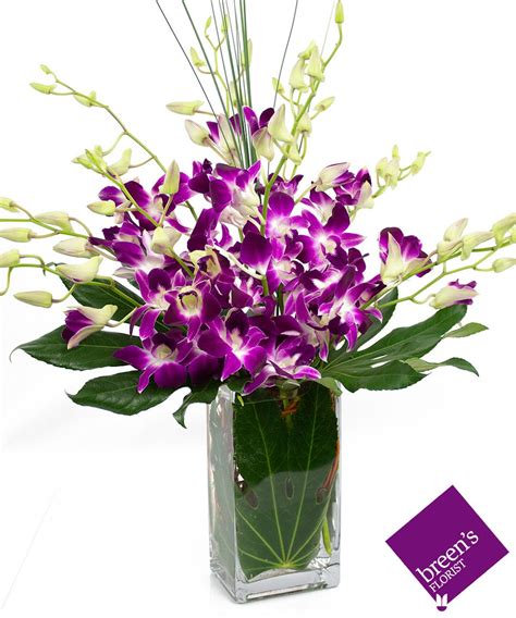 Orchid Delight Breens Florist Houston Flowers