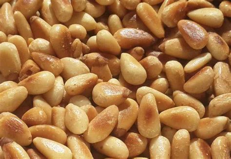 Pine Nuts Benefits After Reading This Youll Eat Them Everyday