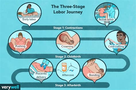 Stages Of Labor First Second And Third