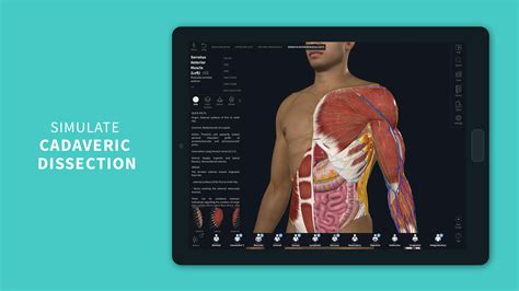 Complete Anatomy 2023 Apk For Android Download