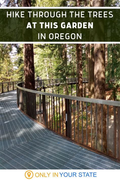 There's A New Aerial Tree Walk At Leach Botanical Garden In Oregon And
