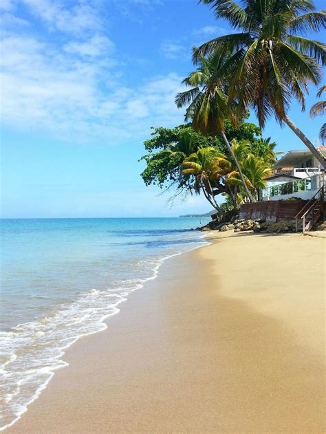 We did not find results for: Rincon - Puerto Rico: Schöner Strand für den entspannenden ...