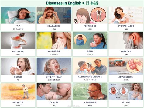 自分の画像で英語と日本語の病気のリスト Health Problems English Students And Teachers