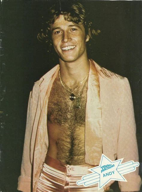 Pin By Rose Huber On Andy Gibb Andy Gibb Barry Gibb Handsome Men