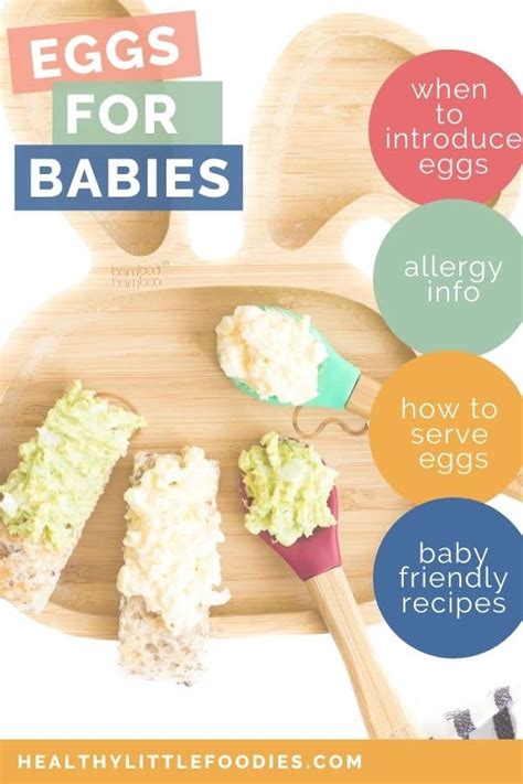 How To Serve Eggs For Baby Led Weaning Easy Recipes Healthy