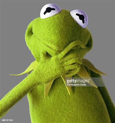 Picture Of Kermit The Frog Photos And Premium High Res Pictures Getty