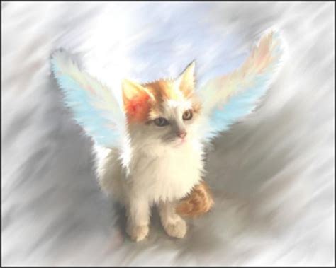 Kitty Angel Painting Background Image Wallpaper Or Texture Free For Any Web Page Desktop