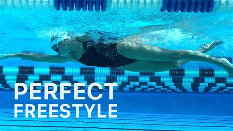 How To Swim Perfect Freestyle Whiteboard Wednesday Freestyle