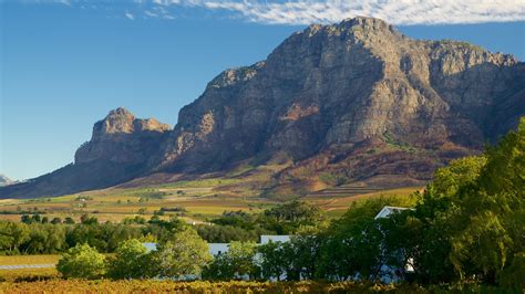 Visit Paarl 2022 Travel Guide For Paarl Cape Town Expedia