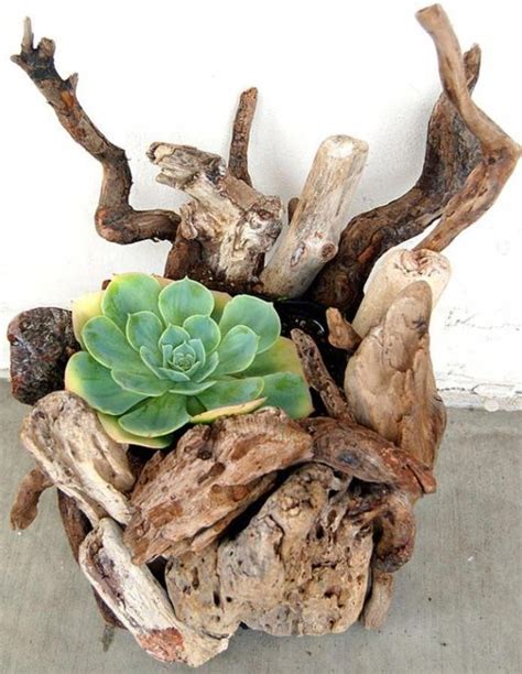 30 Creative Driftwood Decor Ideas Driftwood Planters Succulents