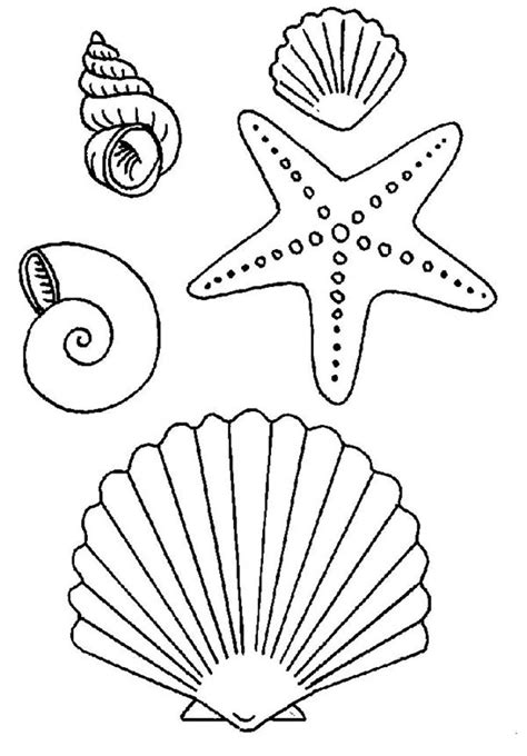 Https://favs.pics/coloring Page/printable Seashell Coloring Pages