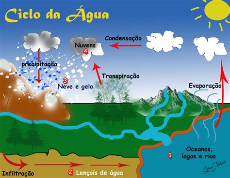 Ciclos BiogeoquÍmicos Ciclo Da água