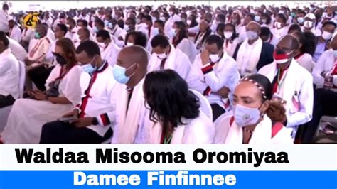 Waldaa Misooma Oromiyaa Damee Finfinnee Youtube