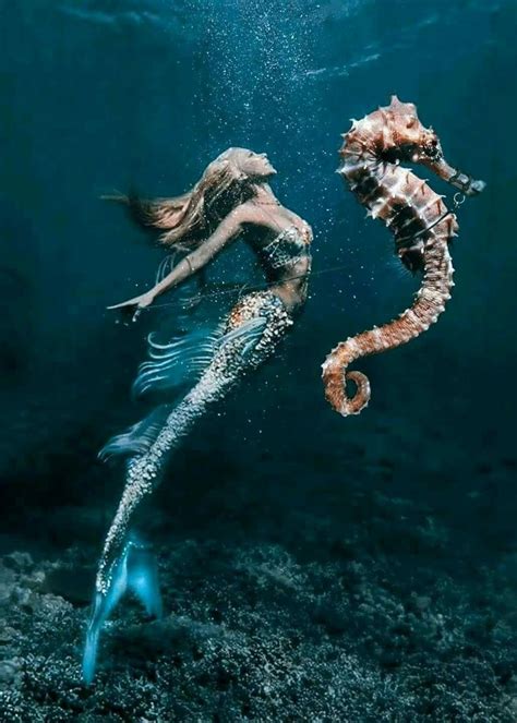 Pin By 📌 ️📌 Teresa Hughes 📌 ️📌 On Mermaids ‍♀️‍♂️ Mermaid Photos