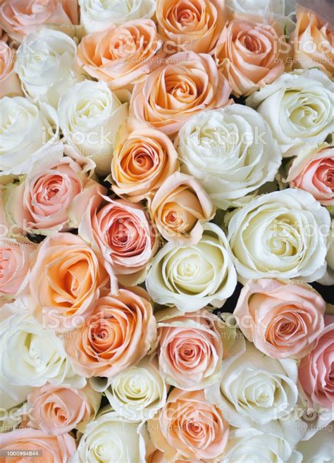 Blumen und blumensträuße gibt es in verschiedenen formen und auch mit einem blumenstrauß kann man daher stets viele verschiedene geschmäcker bedienen. Stilvolle Foto Von Leicht Rosa Und Weißen Rosen ...