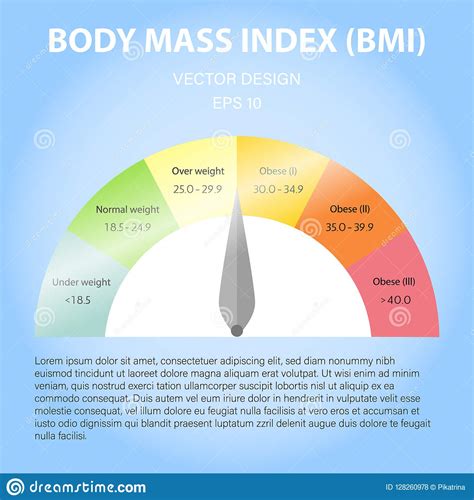 Body Mass Index Scale Bmi Measure Stock Vector Illustration Of