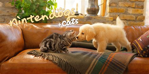 Nintendogs Cats Golden Retriever And Nieuwe Vrienden Nintendo 3ds