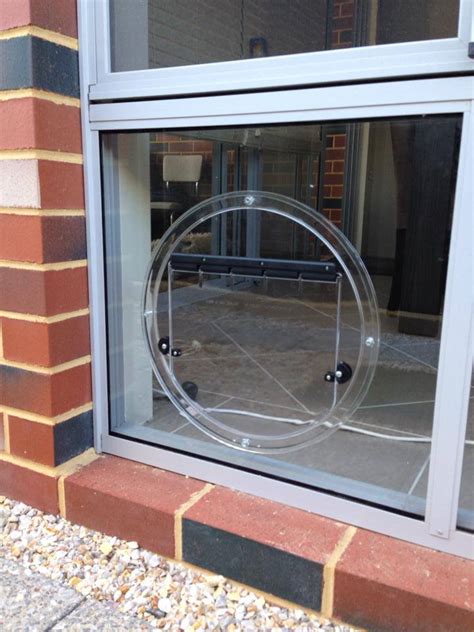 This cat door is high quality and comes in a range of different sizes: Glass Cat Doors Perth - WA Glass Pet Doors