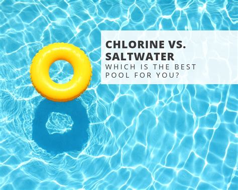 Chlorine Vs Saltwaterwhich Is The Best Pool For You The Architects Diary