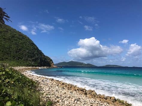 Beautiful Beach Review Of Long Bay Beach Tortola British Virgin Islands Tripadvisor