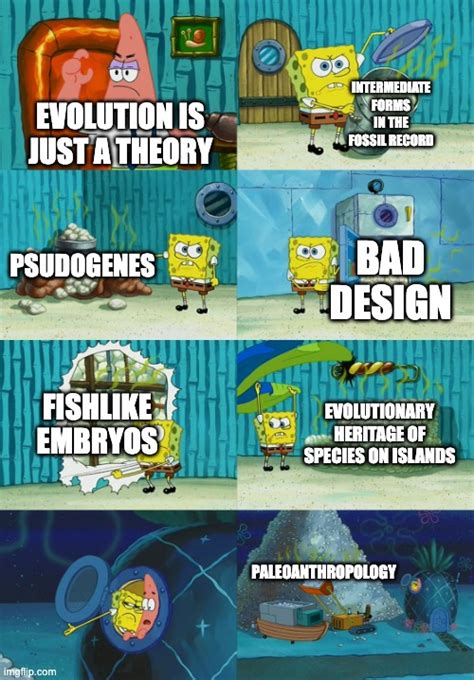 Evolution Is Just A Theory Imgflip