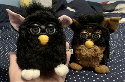 Found This 1st Generation Witchs Cat Furby For 350 Usd Today I Love