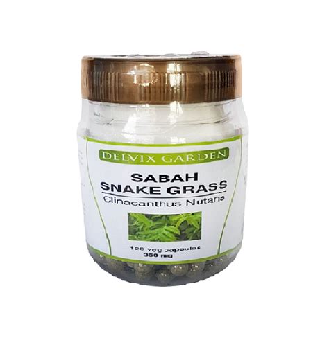 Future organics was established with an objective to serve food that is completely natural and organic with no pesticides or preservatives. Sabah Snake Grass Capsules Clinacanthus Nutans for Healthy ...