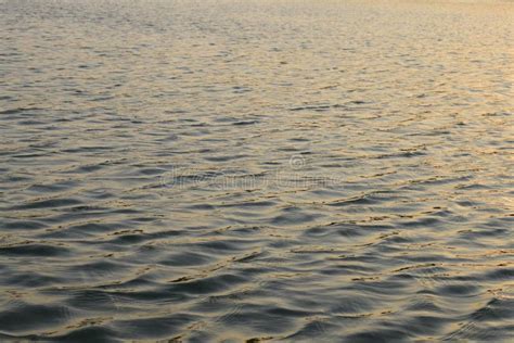 Water Ripple On Lake Surface Stock Image Image Of Backdrop