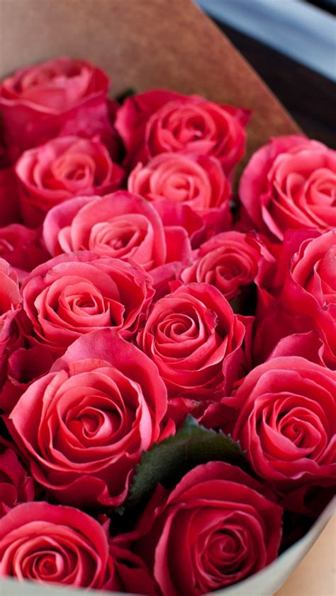 Download 720x1280 Wallpaper Red Roses Bouquet Fresh Flowers Samsung