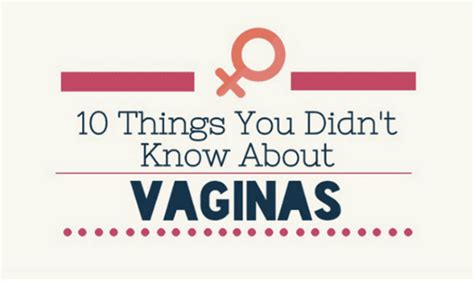 10 Things You Didnt Know About Vaginas Infographic Visualistan