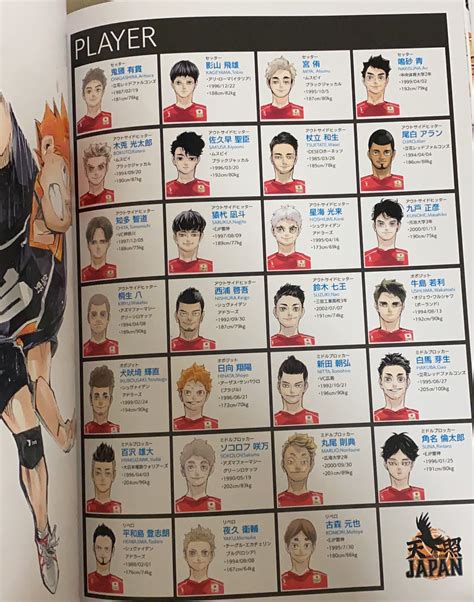 The Illustration Book Gave Us A Full Nt Lineup Rhaikyuu
