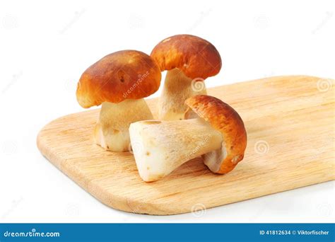 Fresh Edible Mushrooms Stock Photo Image Of Cutting 41812634