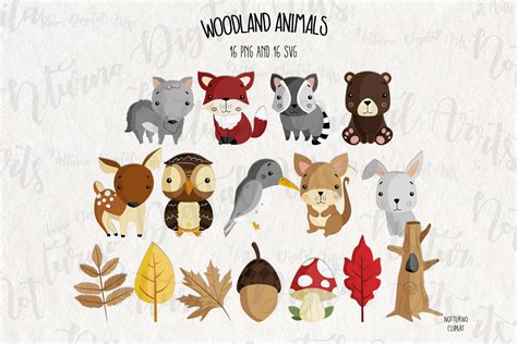 Baby Woodland Animals Svg Clipart Set Of 16 By Notturnoclipart