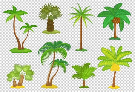 Conjunto De Iconos De Dibujos Animados De Palmeras Tropicales