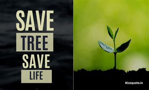Save Trees Posters With Slogans