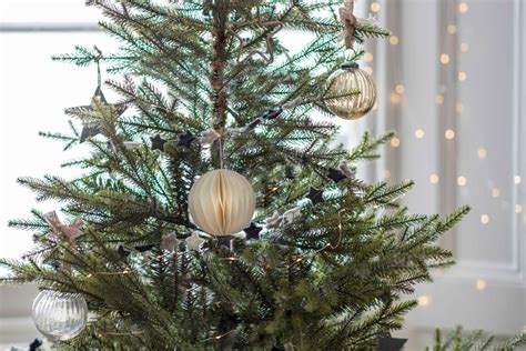 The Ultimate Guide How To Choose And Look After A Real Christmas Tree