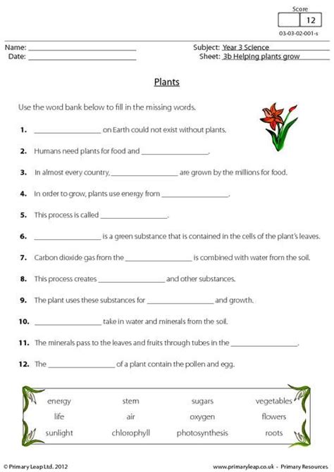 Year 3 Science Plants Worksheets Kidsworksheetfun
