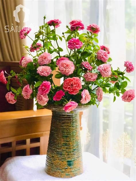 Cách Cắm Hoa Hồng đẹp Nhất Chuẩn Nhất Cho Người Thực Hành Tại Gia