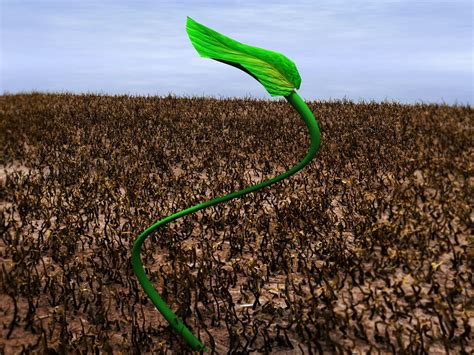 Hope seed nature Free PPT Backgrounds for your PowerPoint ...