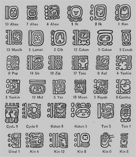 Maya Hieroglyphics Picture