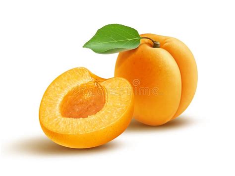 Fresh Apricot And Leaf Stock Image Image Of Profitable 133713127