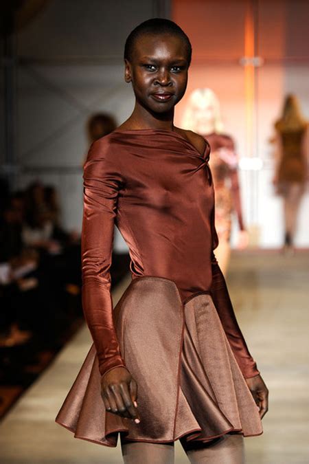 model alek wek is currently single she once dated riccardo sala not dating anyone