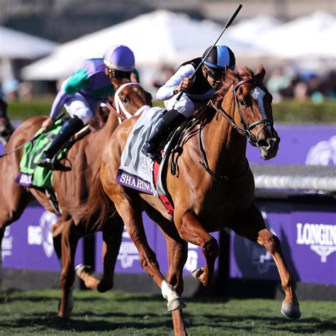 Breeders' Cup 2019 Payouts: Prize Money Purse Info for All Races on ...