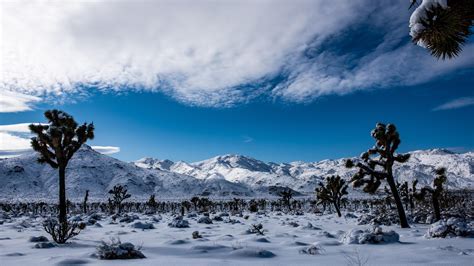 Looking Through A Snow Covered Desert To Admire Quail Mountain