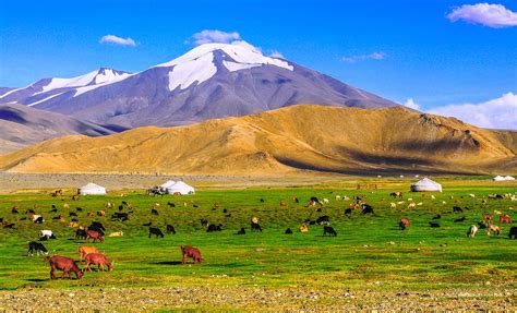 True Mongolia Travel When To Visit Mongolia The Best Time To Visit