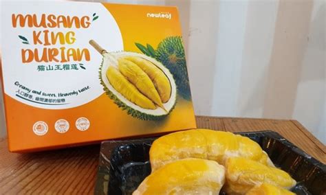The durian season usually occurs every june and july. MALAYSIA: Durian peak harvest season begins - TFNet ...