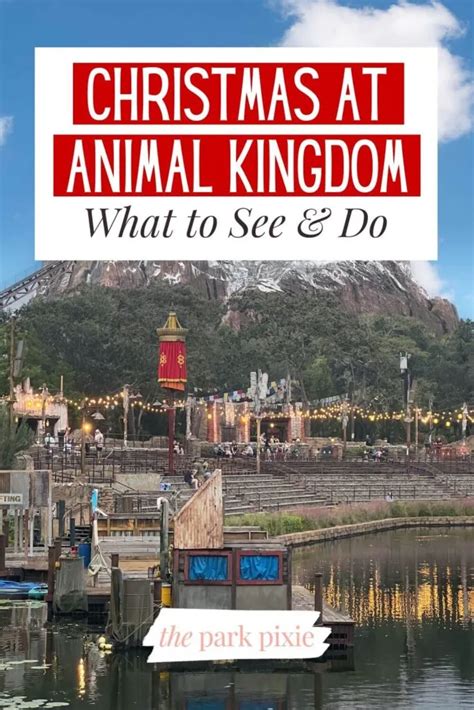Disneys Animal Kingdom At Christmas Celebration Guide 2024 The Park