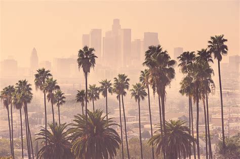 30 Things Miamians Think When Visiting Los Angeles