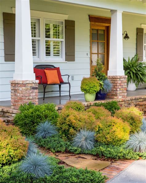 Pin By Southern Living Plants Inspi On Groundcovers In 2020